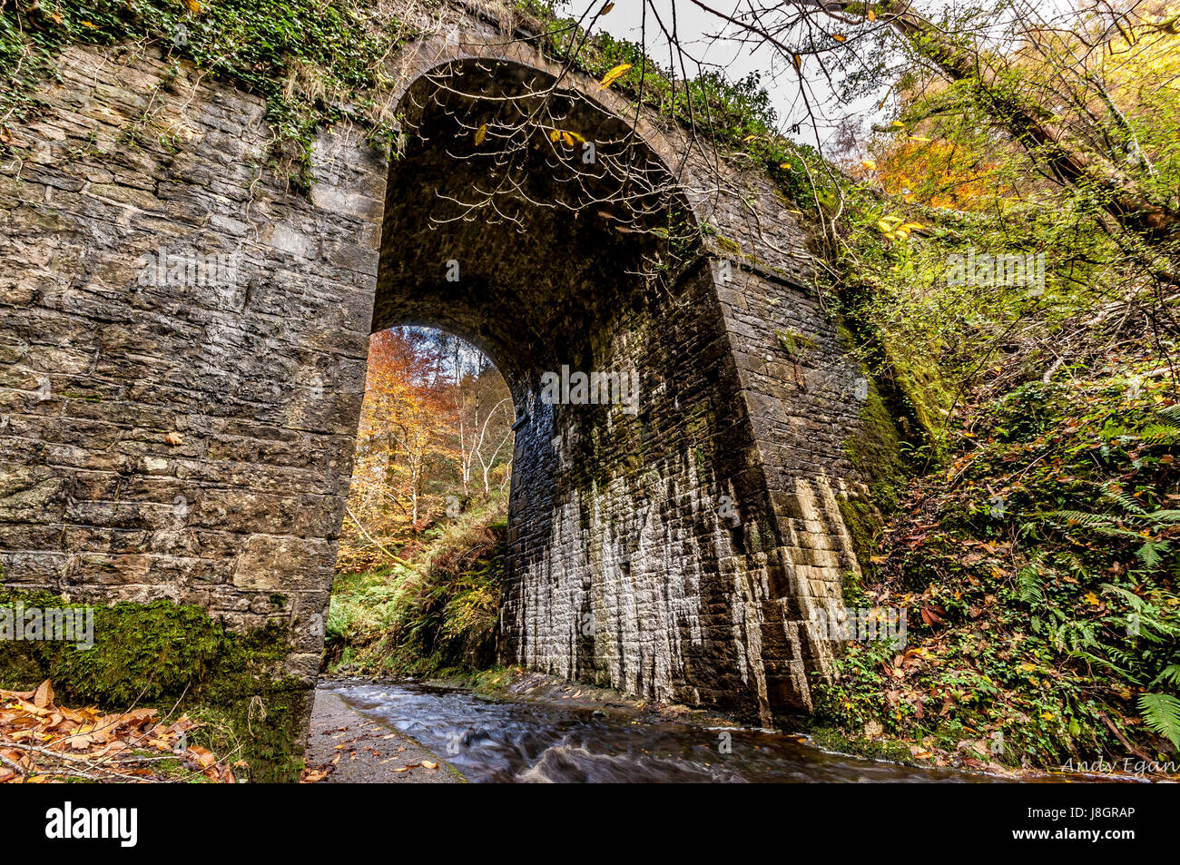 Sleive Bloom Mountains Irlande Banque D'Images