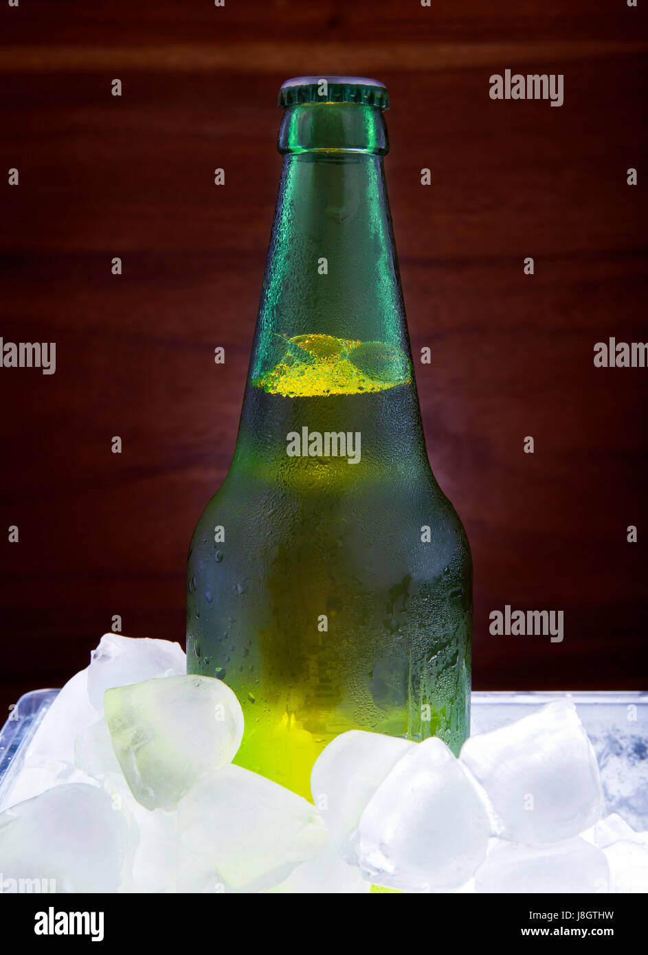 Bouteille de bière verte gel dans le réservoir de glace pour thème boissons Banque D'Images