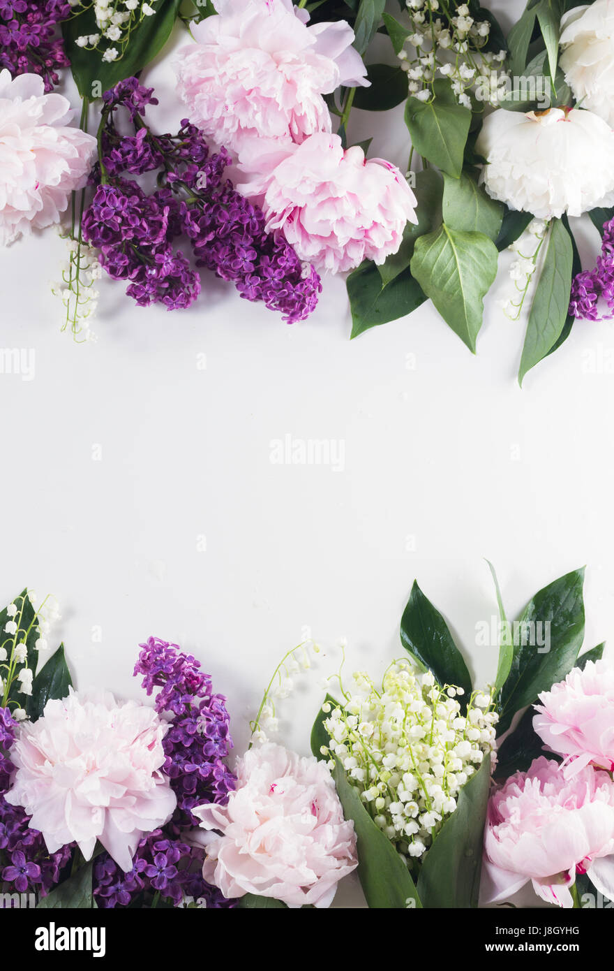Frontières Floral de fleurs fraîches - lilas, pivoines et lilly du Pr. fleurs sur fond blanc avec copie espace Banque D'Images