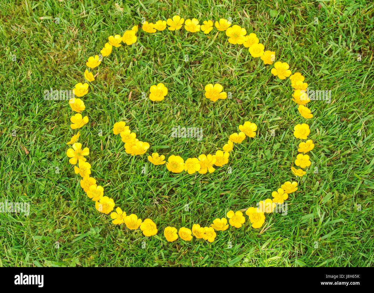 Smiley face faits de renoncules Banque D'Images