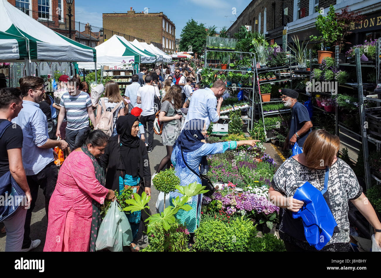 London's popular Columbia Road Flower Market dans l'Est de Londres sur un dimanche matin ensoleillé Banque D'Images