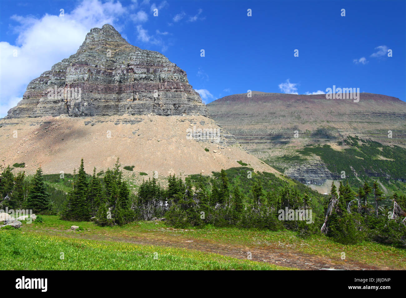 Belle, beauteously, nice, commerce, environnement, Environnement, parc, sauvage, Banque D'Images