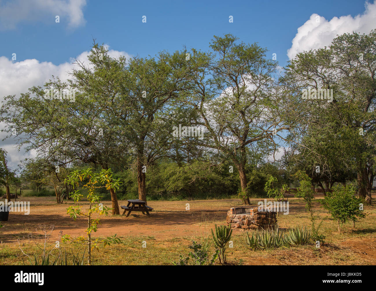 Paysage dans Hlane-Royal National Park, au Swaziland Banque D'Images