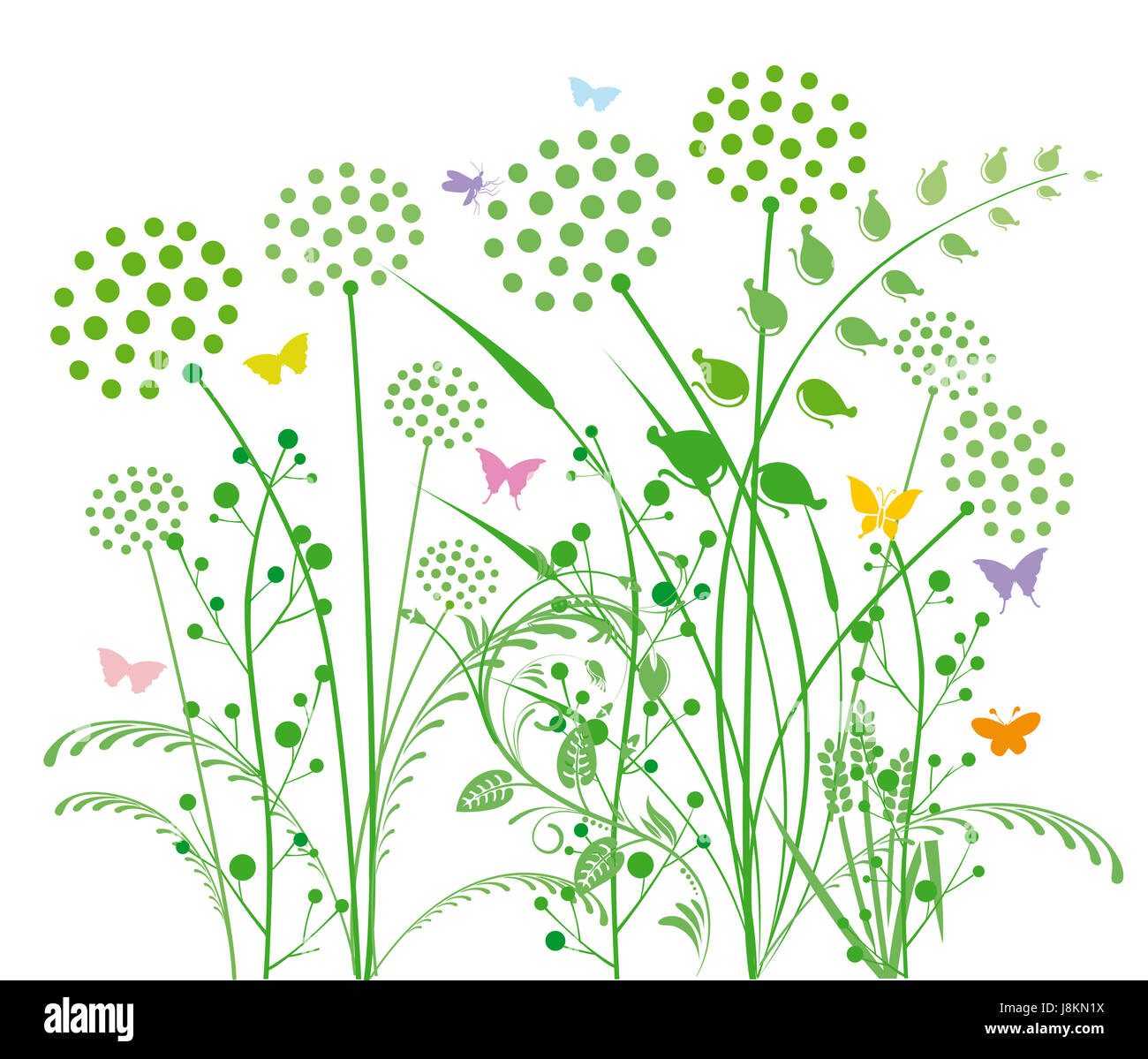 Le pissenlit et les herbes Banque D'Images