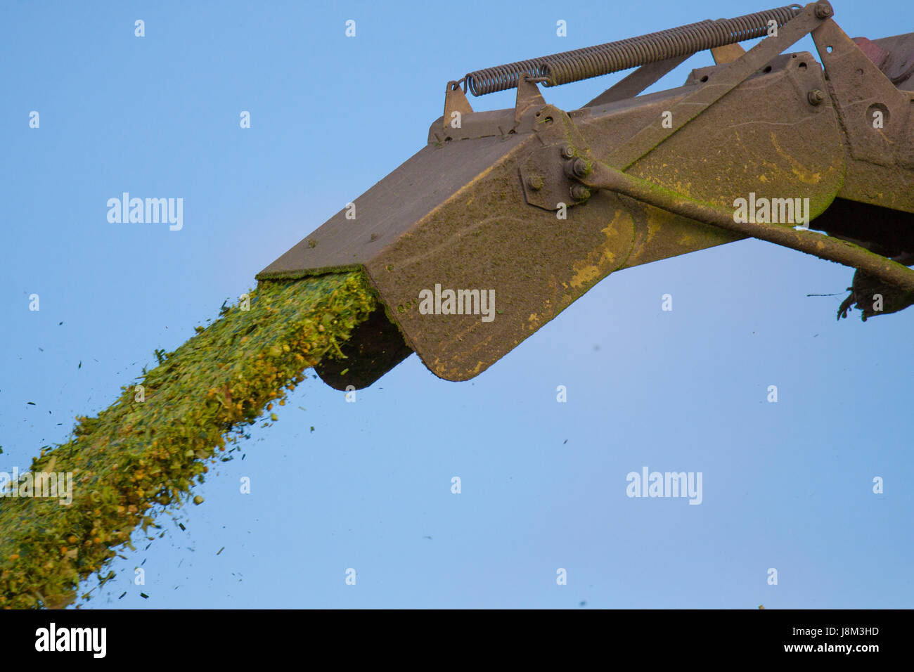 L'agriculture, de l'agriculture, les glumes, broyeur, harvest, eco, de l'agriculture, de l'agriculture, Banque D'Images