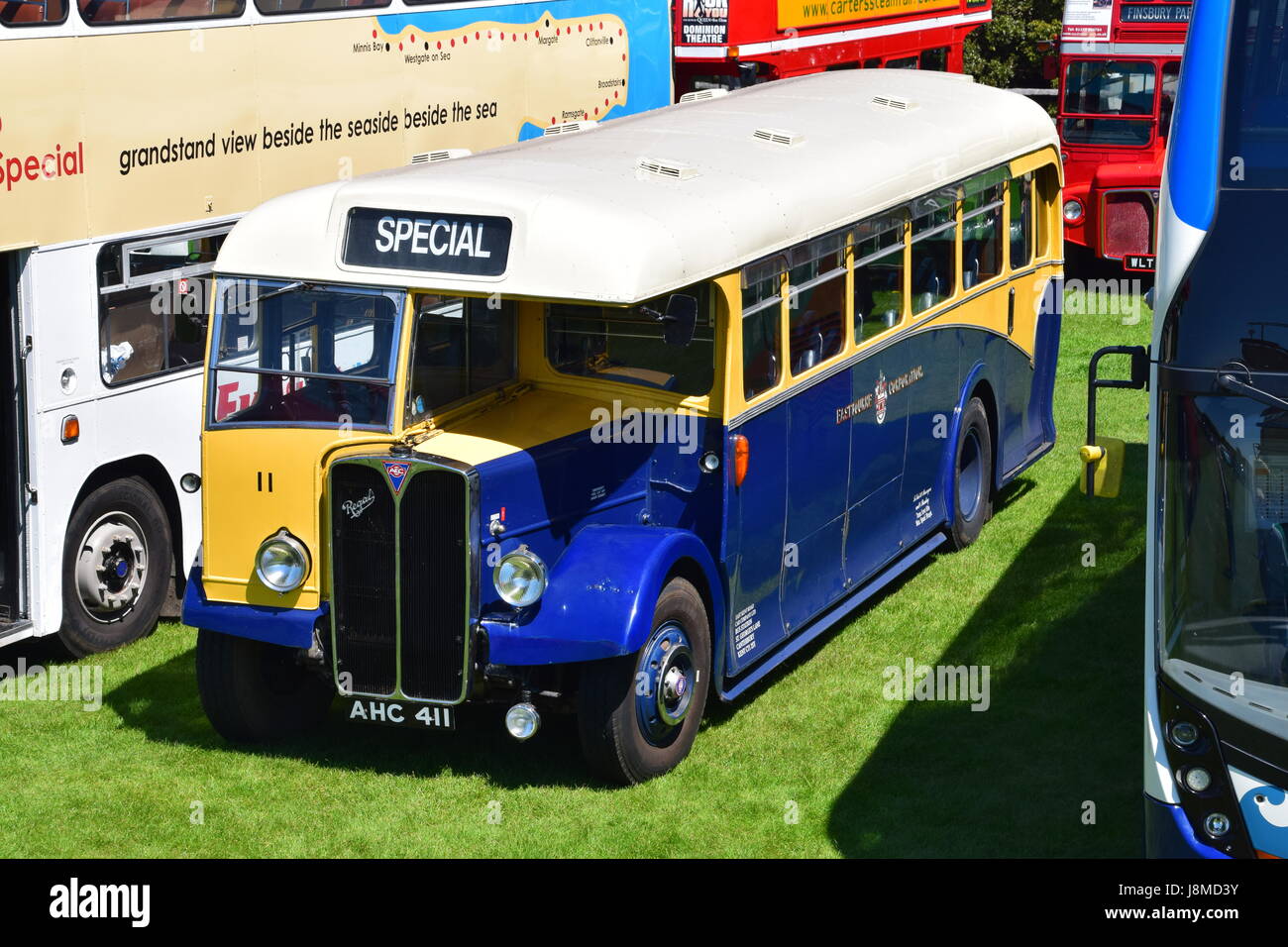 AHC411, 1950 AEC Regal Corporation Eastbourne III 6821A avec East Lancs DP30R corps flotte, numéro 11, 25e édition de la classique rallye bus, l'Ovale Hastings Banque D'Images