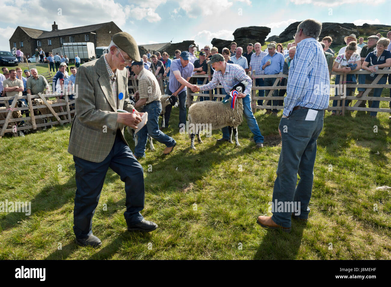 La 64e Tan Hill Mouton Swaledale ouverte tenue à La Tan Hill Inn, North Yorkshire, mai 2017. Un gagnant est félicité dans l'anneau de jugement. Banque D'Images