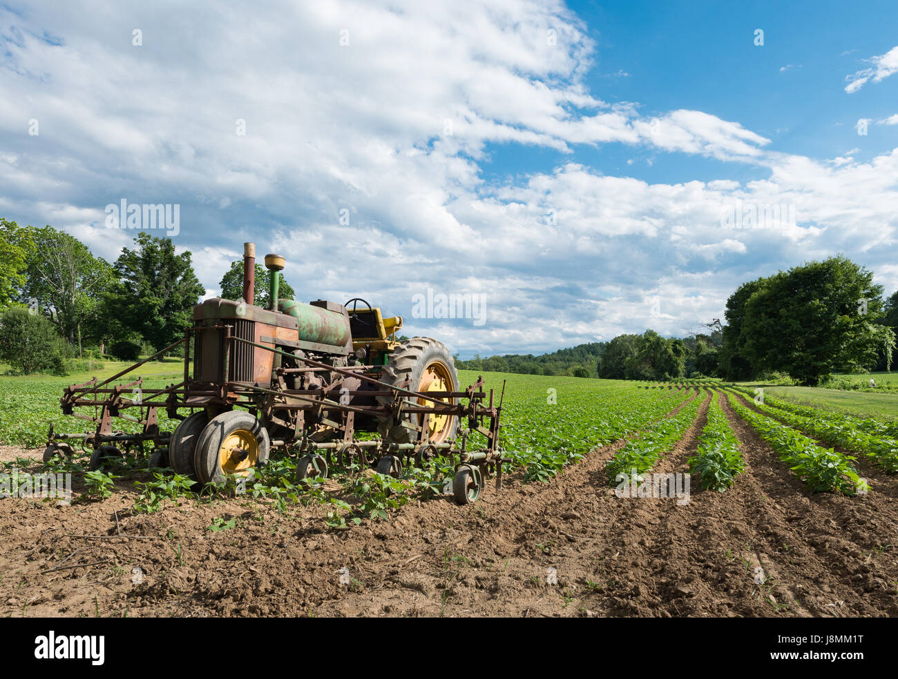 Vintage tracteur en terrain agricole avec ciel bleu et nuages spectaculaires. rangées de cultures écologiques sont de plus en plus. Banque D'Images