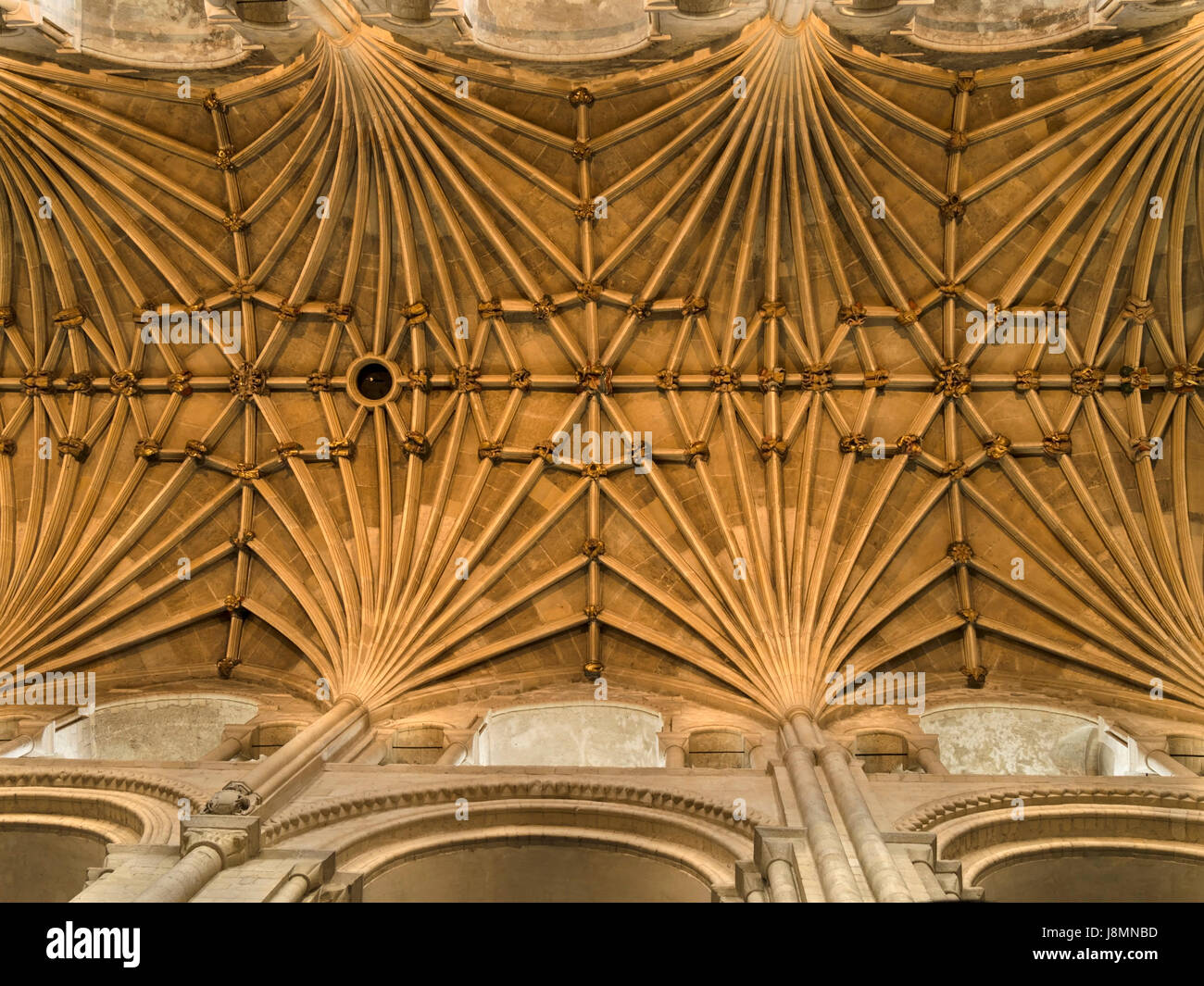 Plafond voûté en cathédrale de Norwich à partir de ci-dessous, Norwich, Angleterre, RU Banque D'Images