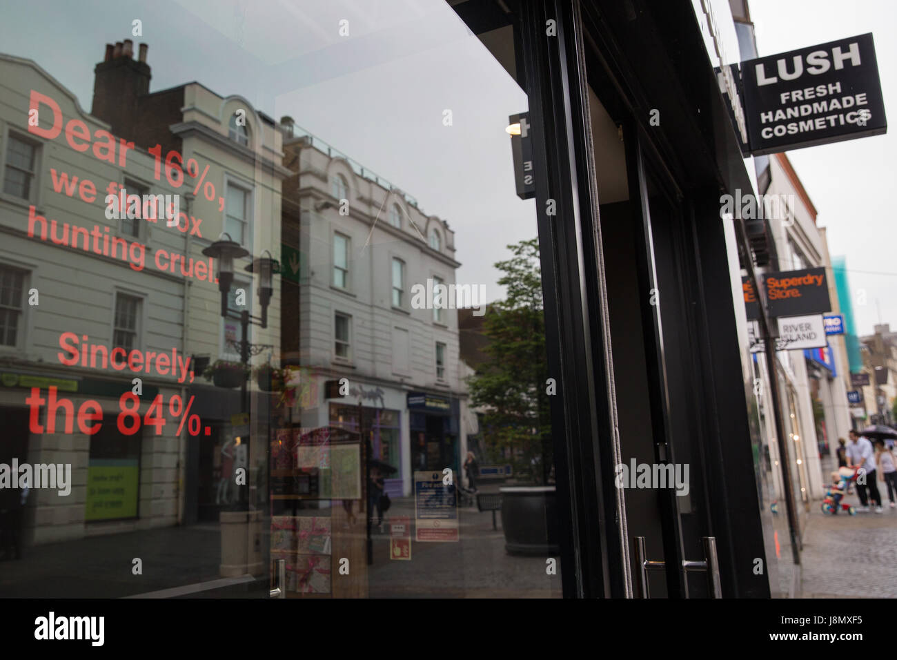 Windsor, Royaume-Uni. Un écran et à l'intérieur de la fenêtre d'un magasin  Lush est utilisé pour faire campagne contre la chasse au renard. Texte sur  l'écran indique que 84 % des personnes