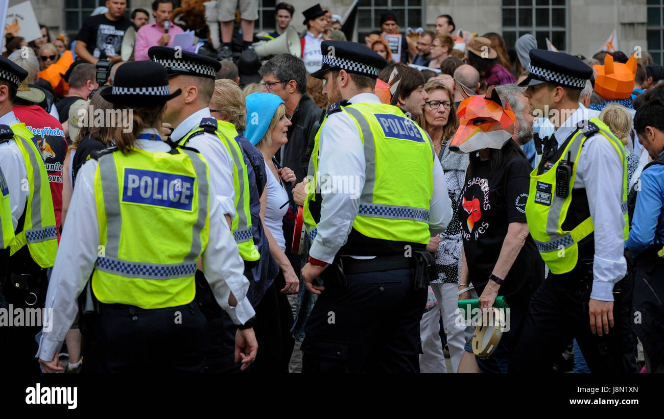 Londres, Royaume-Uni. 29 mai, 2017. Une présence de sécurité policière visible est vu comme un "stade manifestants Mars Anti-Hunting' dans le centre de Londres, en marchant de Cavendish Square à l'extérieur de Downing Street. Les manifestants demandent que l'interdiction de la chasse au renard demeure, contrairement à des commentaires rapportés par Theresa May, Premier Ministre, que la Loi sur la chasse de 2004 pourrait être abrogée après l'élection générale. Crédit : Stephen Chung/Alamy Live News Banque D'Images