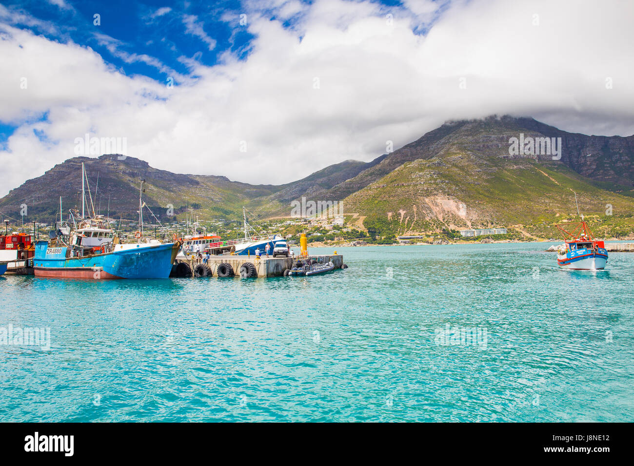 Houtbaai Western Cape, Afrique du Sud, le 30 janvier 2015 : tour en bateau à Hout Bay, des observations de phoques Banque D'Images