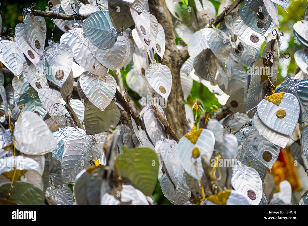 Feuilles de bodhi d'argent suspendue à un arbre sacré qui souhaitent dans un temple bouddhiste à Bangkok, Thaïlande Banque D'Images