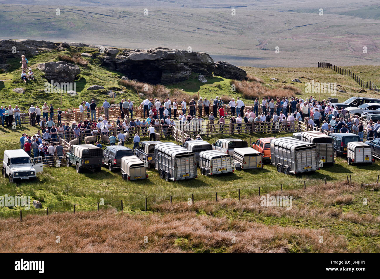 La 64e Tan Hill ouvrir les moutons Swaledale Show qui a eu lieu à côté de la tan Hill Inn, North Yorkshire, mai 2017. Banque D'Images