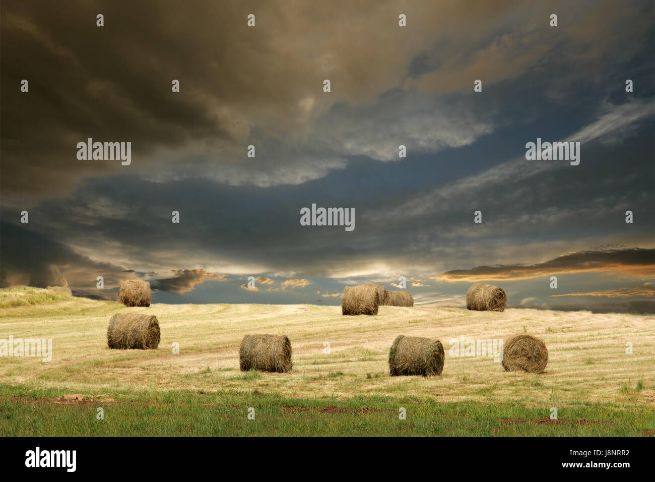 Farm, le foin, les pâturages, les terres agricoles, les nuages, rural, pré, herbe, pelouse, vert, Banque D'Images