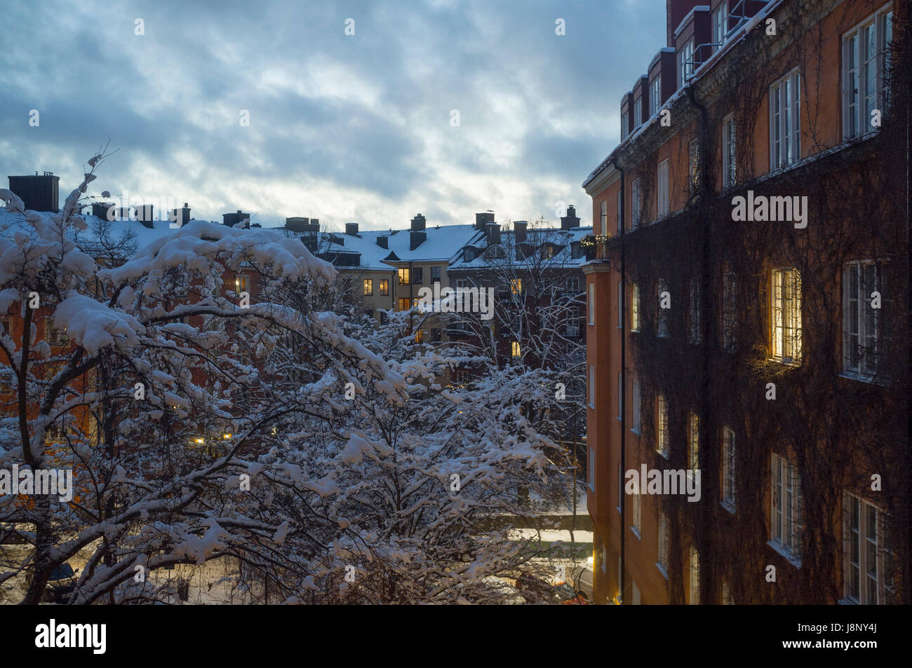 Maisons et arbre couvert de neige en hiver Banque D'Images