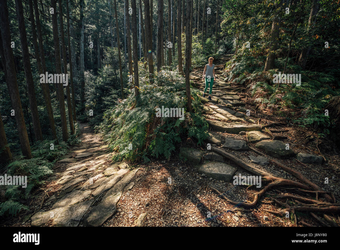 Balades en forêt randonneur Banque D'Images