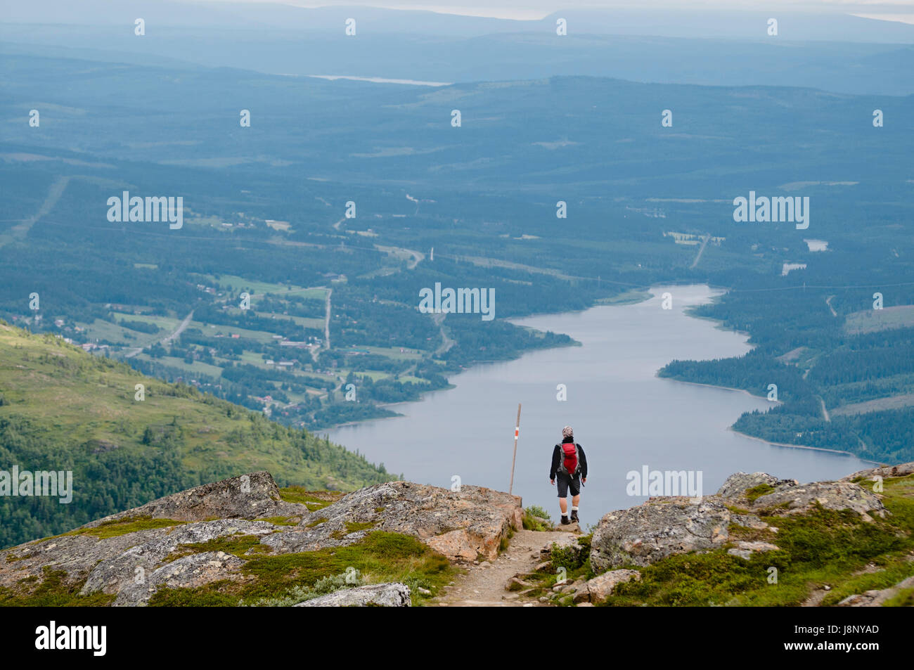 Man looking at landscape Banque D'Images