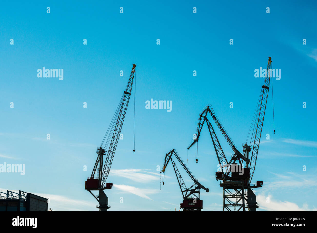 Silhouettes de grues Banque D'Images