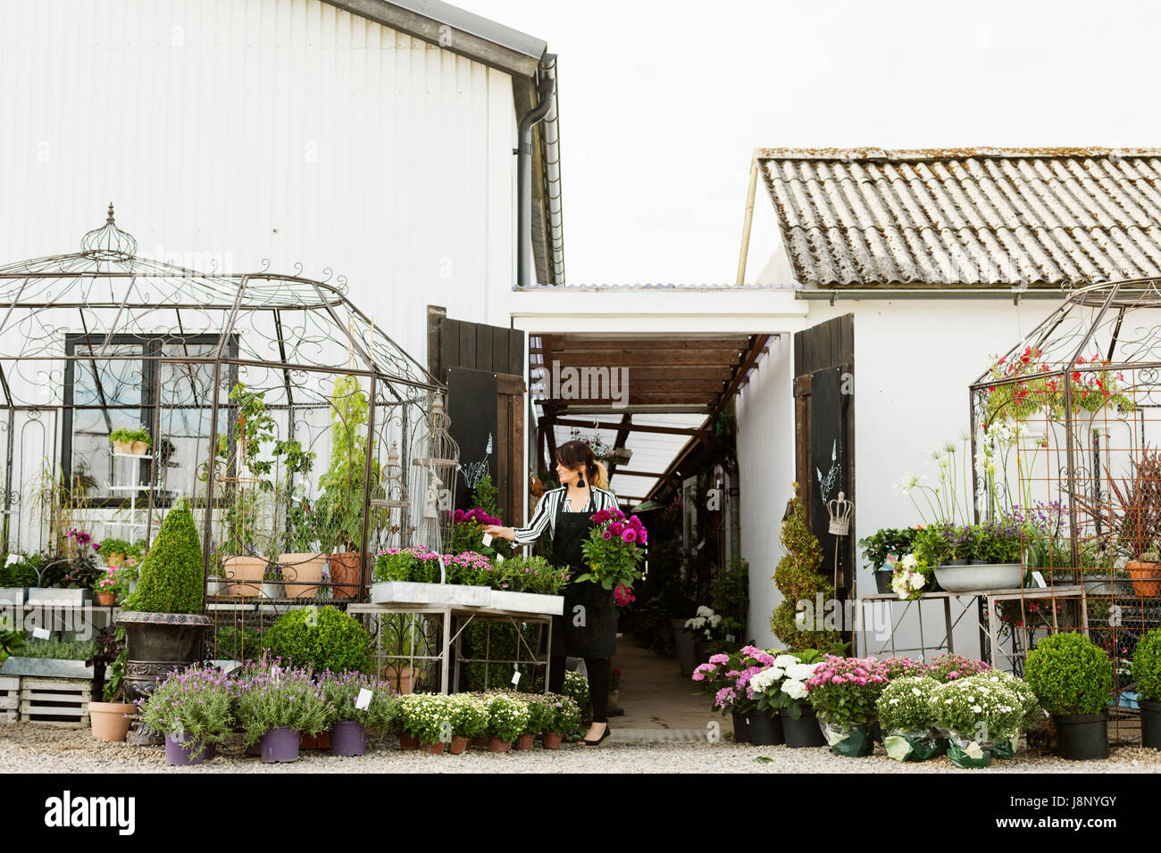 Dans le magasin de fleurs fleuriste Banque D'Images