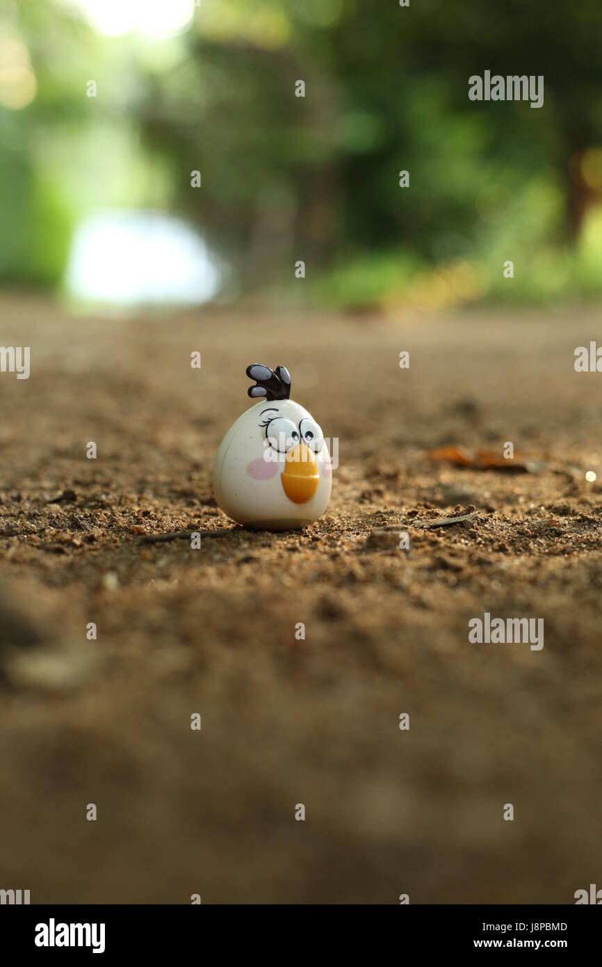 Ici dans le Kerala... notre nature et situations sont plus liés à la nature et de la verdure. c'est pourquoi nos cadres sont plein de vie. Ici, je conclus avec plus de la nature . Banque D'Images