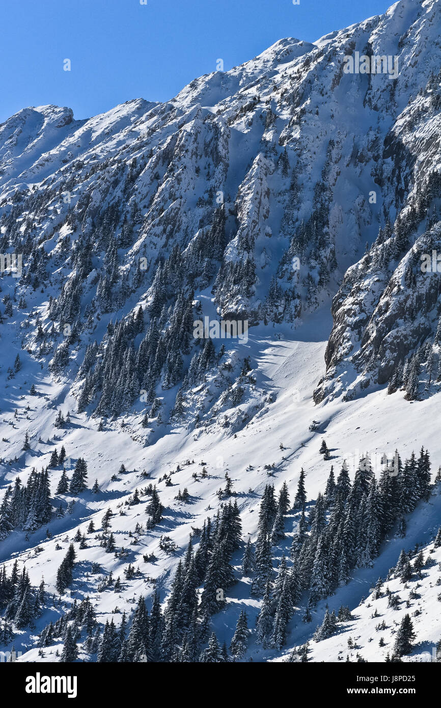 Bleu, beau, beauteously, nice, commerce, gros, grand, énorme, extrême, Banque D'Images