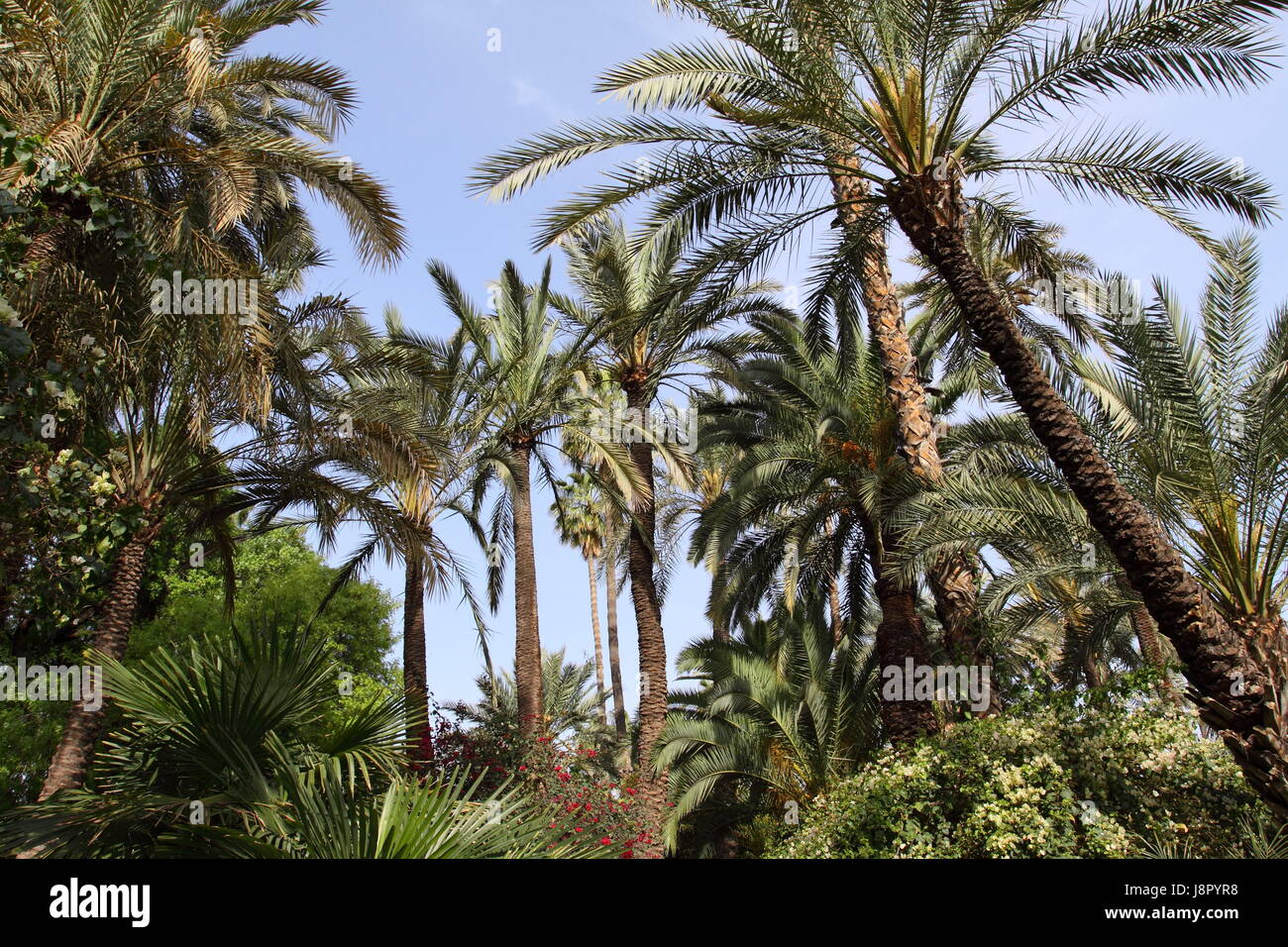 Bleu, maison, édifice, feuille, voyage, vie, exister, de l'existence, vie, vie, Banque D'Images