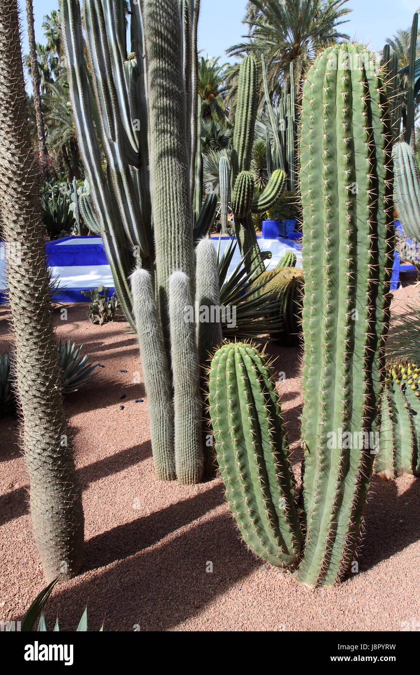 Bleu, maison, édifice, feuille, voyage, vie, exister, de l'existence, vie, vie, Banque D'Images