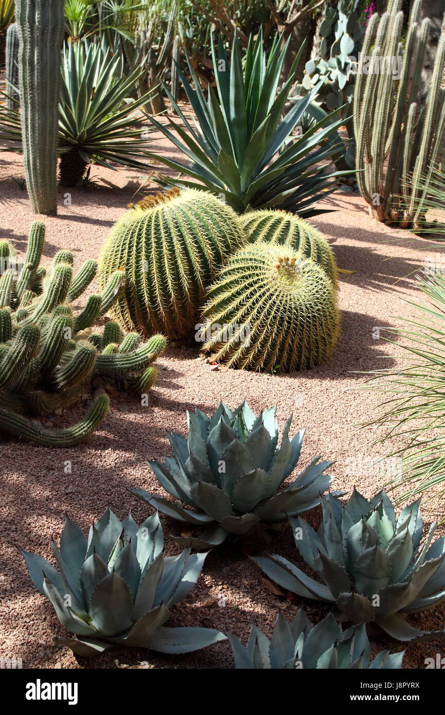 Bleu, maison, édifice, feuille, voyage, vie, exister, de l'existence, vie, vie, Banque D'Images