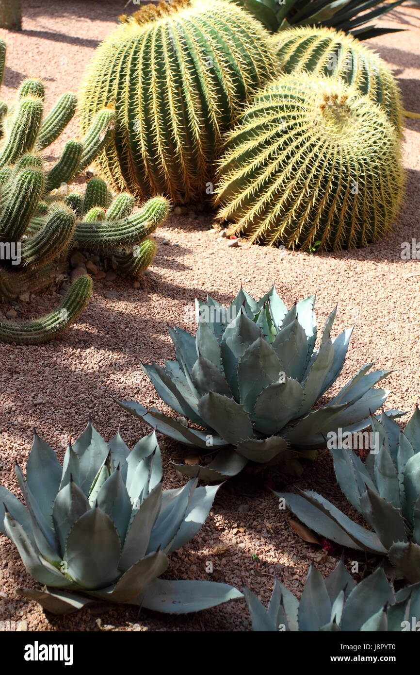 Bleu, maison, édifice, feuille, voyage, vie, exister, de l'existence, vie, vie, Banque D'Images