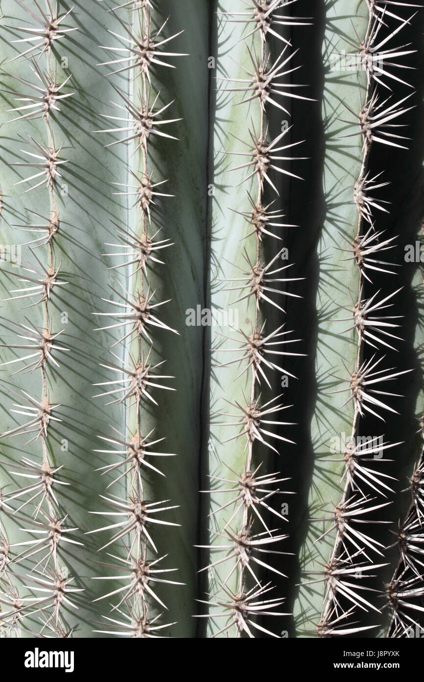 Bleu, maison, édifice, feuille, voyage, vie, exister, de l'existence, vie, vie, Banque D'Images