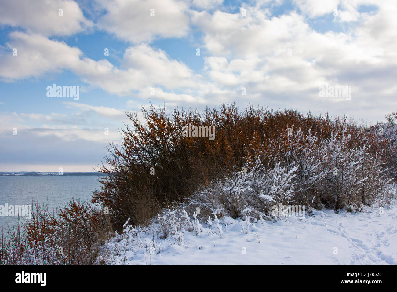 L'hiver, l'eau, de la mer Baltique, l'eau salée, la mer, océan, côte escarpée, la saison, la neige, Banque D'Images