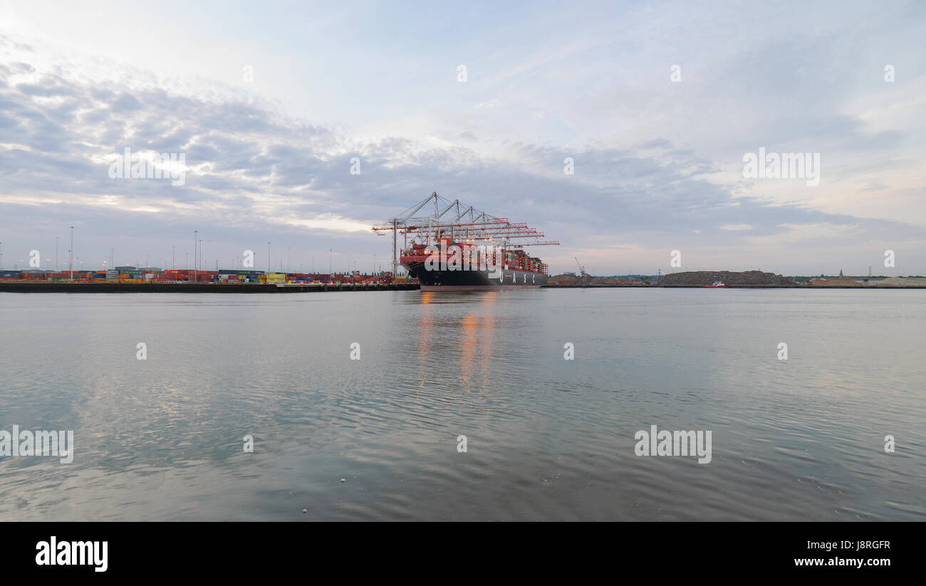 Conteneurs à Southampton Docks au crépuscule Banque D'Images