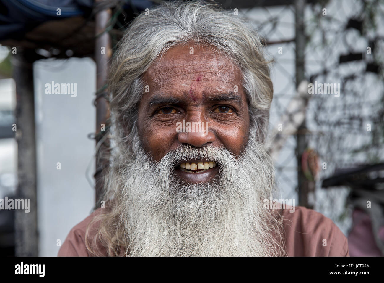 Portrait d'un astrologue Sri-lankais dans les rues de Kandy, Sri Lanka Banque D'Images