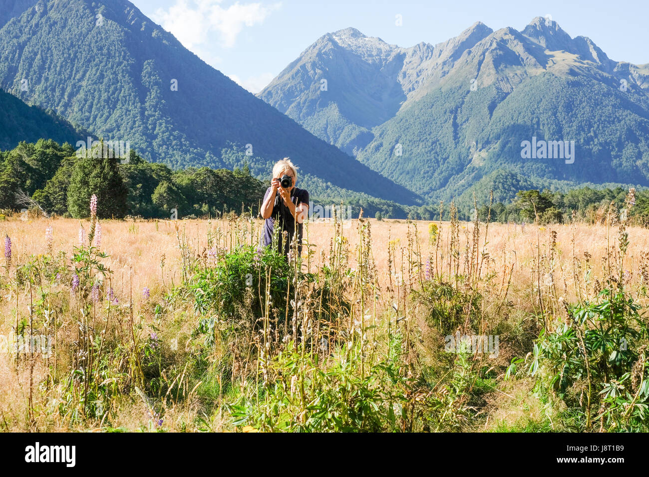 Femme photographe sur le terrain - Vallée d'Eglington Nouvelle-Zélande Banque D'Images