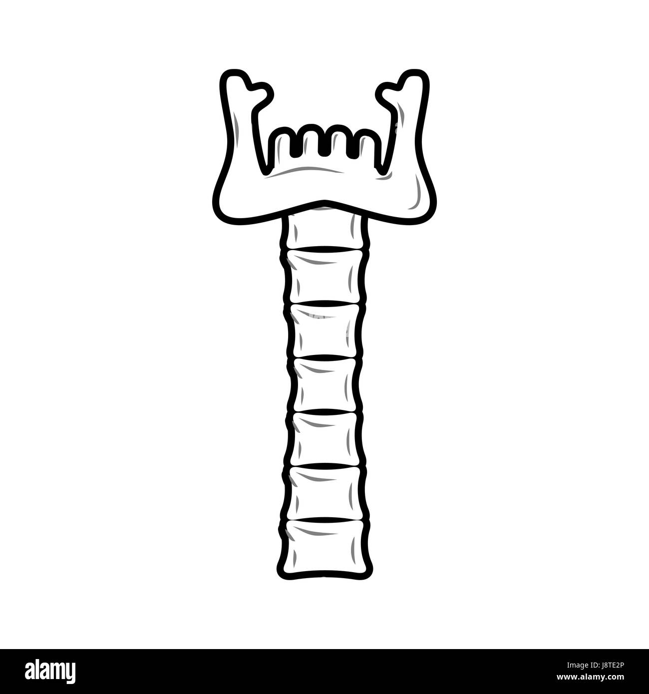 Le cou et la mâchoire inférieure de l'os. Anatomie du totem mystique est objet de culte. Illustration de Vecteur