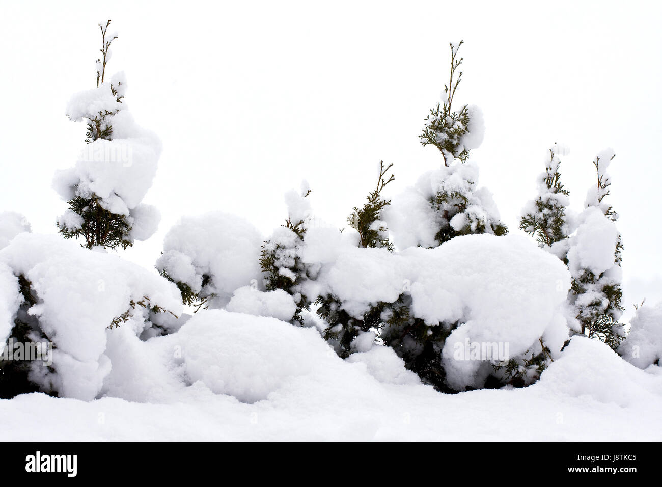 bloqués par la neige Banque D'Images