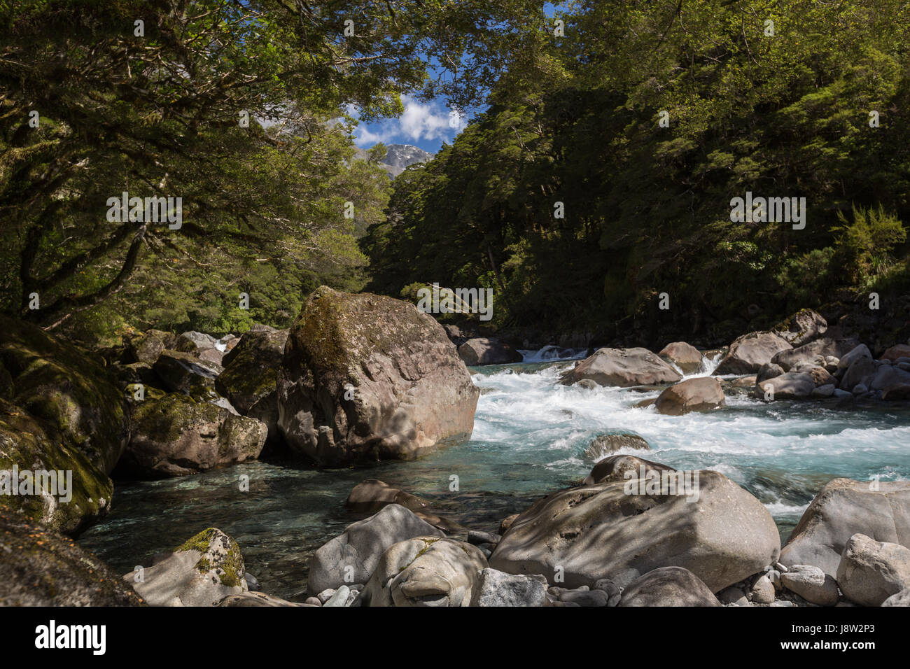 Rivière en Nouvelle-Zélande fiordland Banque D'Images