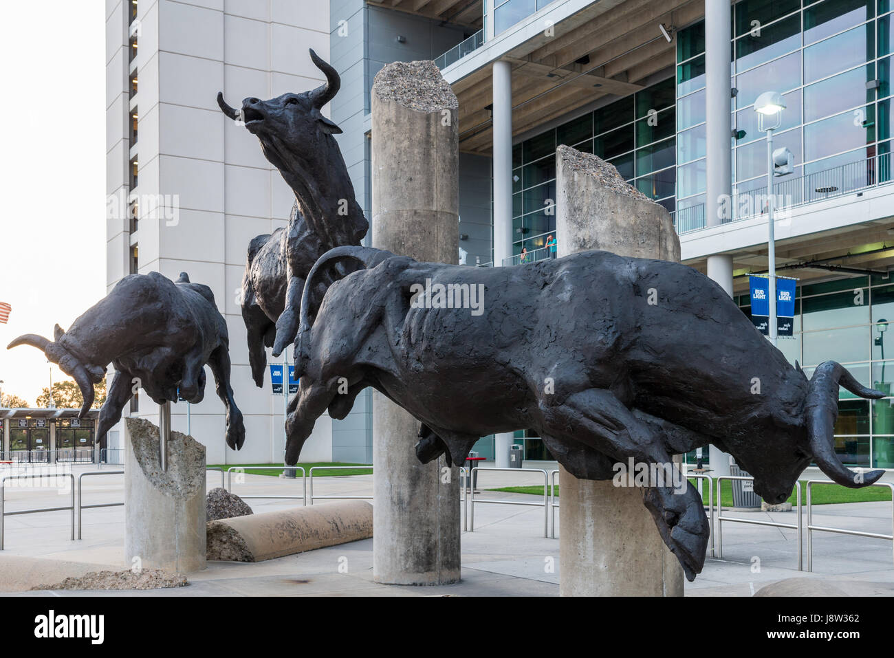L'exécution des sculptures de taureaux en face de la NRG Stadium, Houston, Texas, USA. Banque D'Images