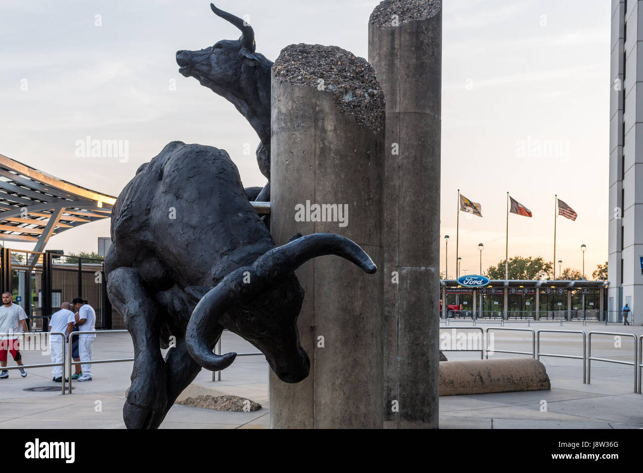 L'exécution des sculptures de taureaux en face de la NRG Stadium, Houston, Texas, USA. Banque D'Images