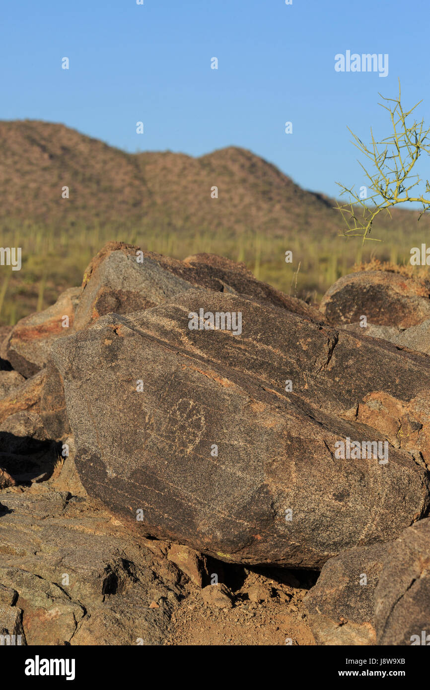 Pétroglyphes de Saguaro National Park, Arizona, Signal Hill Banque D'Images