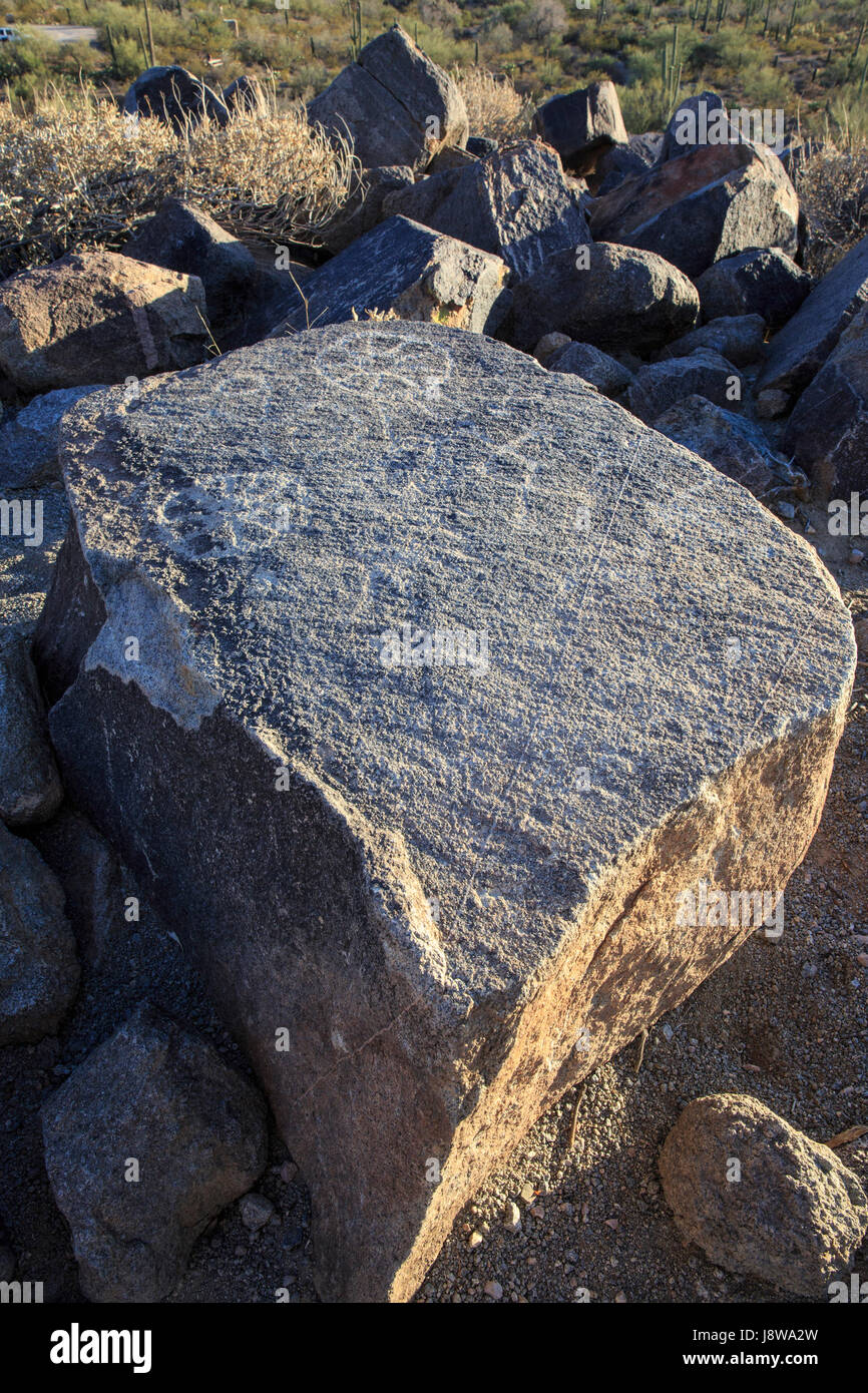 Pétroglyphes de Saguaro National Park, Arizona, Signal Hill Banque D'Images