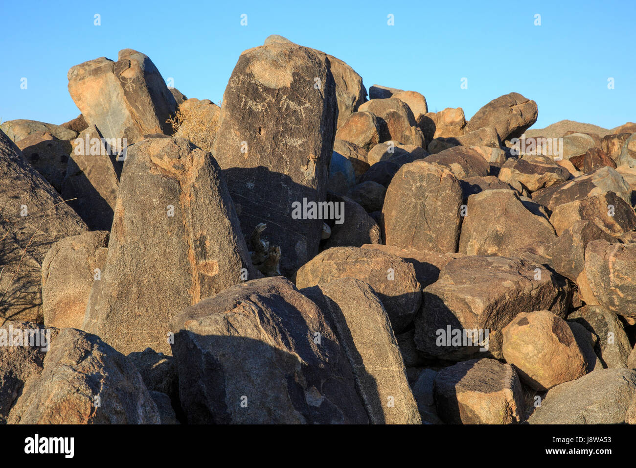 Pétroglyphes de Saguaro National Park, Arizona, Signal Hill Banque D'Images