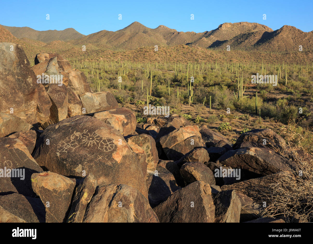 Pétroglyphes de Saguaro National Park, Arizona, Signal Hill Banque D'Images