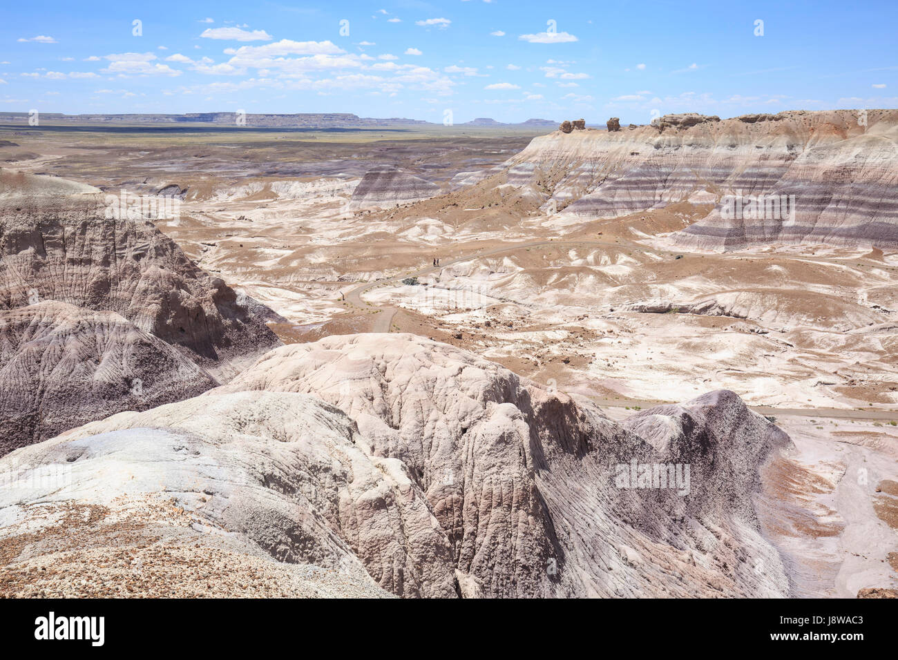 Collines érodées dans le Painted Desert, rochers dans le Parc National de la forêt pétrifiée Banque D'Images