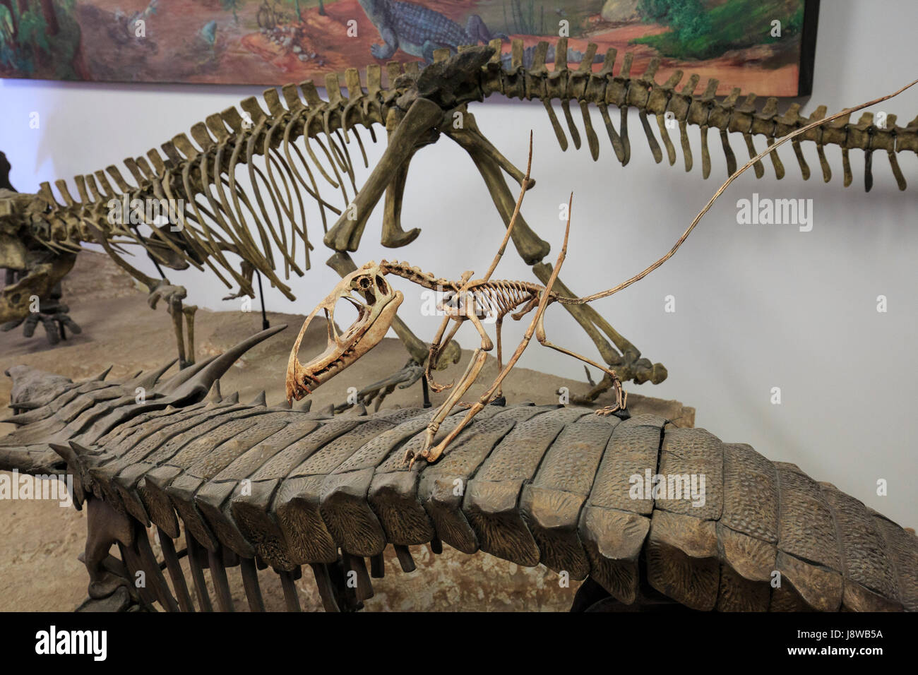 Squelette d'un Dimorphodon en fonte au centre des visiteurs du Parc National de la Forêt Pétrifiée. Banque D'Images