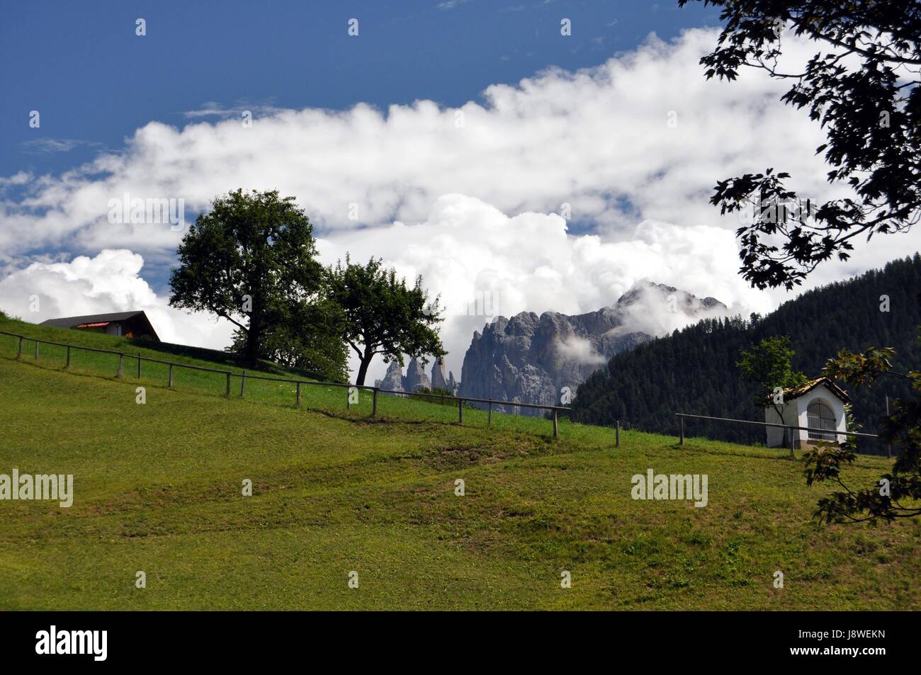 Dolomites, le Tyrol du Sud, Europe, rosarium, monde de montagne, paysage, campagne, Banque D'Images