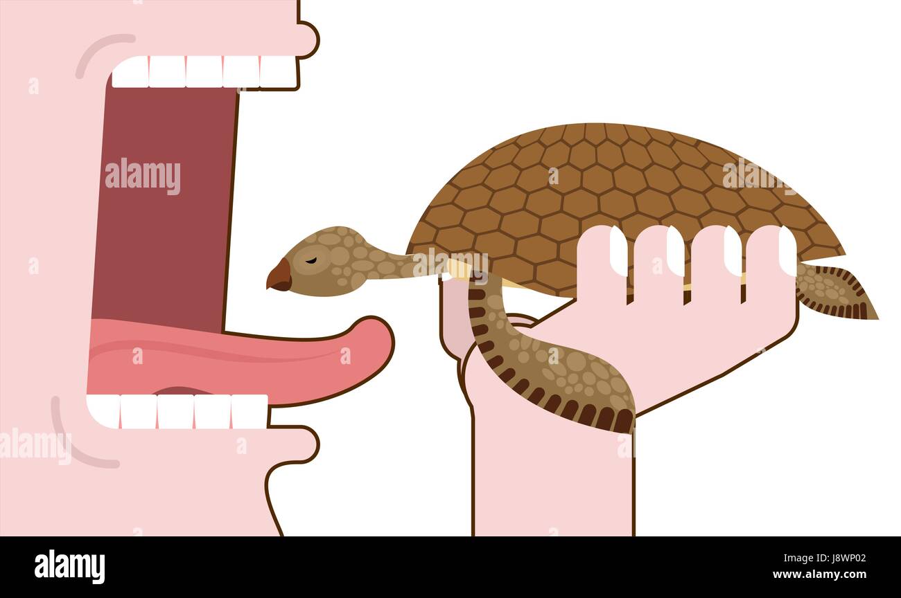 Man eating tortue. Destruction des amphibiens. élimination de la faune