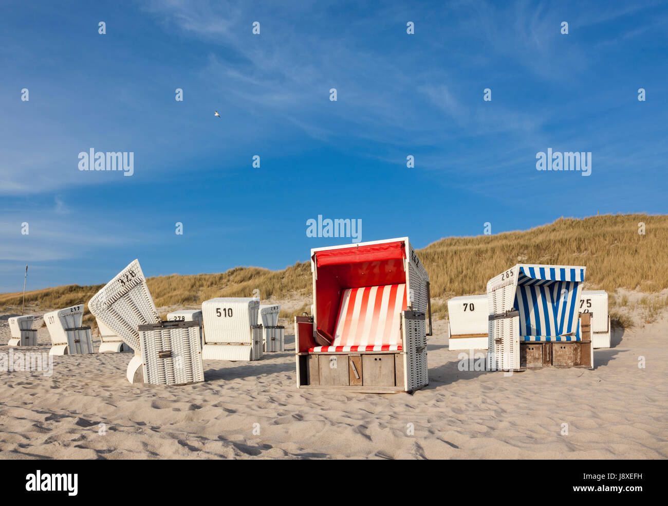 Chaises de plage typique à Sylt, les dunes en arrière-plan Banque D'Images