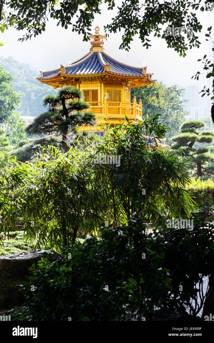 Temple chinois en arrière-plan dans le jardin verdoyant et d'une végétation luxuriante avec ciel voilé ciel mystique Banque D'Images